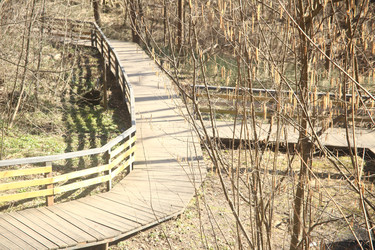 Similar image 22636410