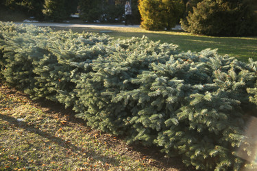 Similar image 22636413