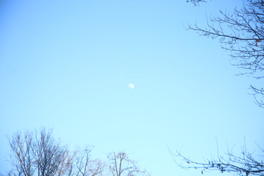 Similar image 22636420