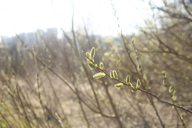 Similar image 22636401