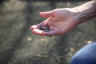 Similar image 22634269