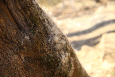 Similar image 22636414