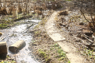 Similar image 22636415