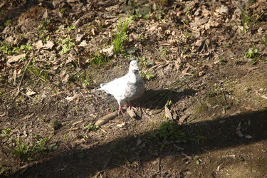 Similar image 22640413