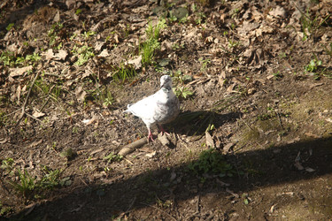 Similar image 22640414