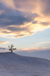 Similar image 22632951