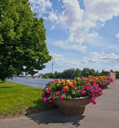 Similar image 22631921