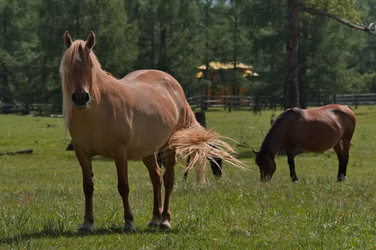 Similar image 22635255