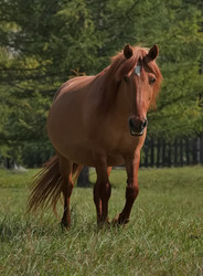 Similar image 22635256