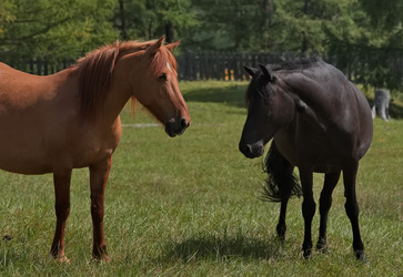 Similar image 22635258