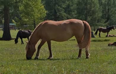 Similar image 22635260