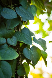 Similar image 22632309