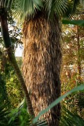 Similar image 22632310