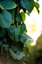 Similar image 22632311