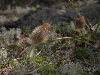 Similar image 22631913