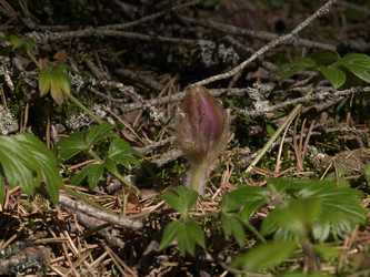 Similar image 22631914