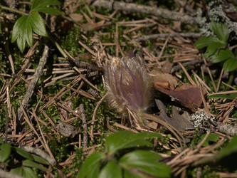 Similar image 22631915