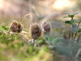 Similar image 22631916