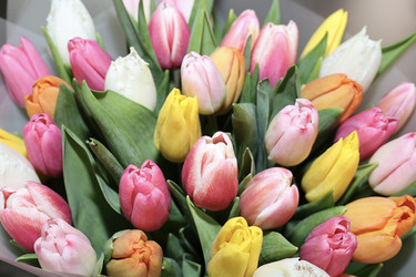 Similar image 22638234