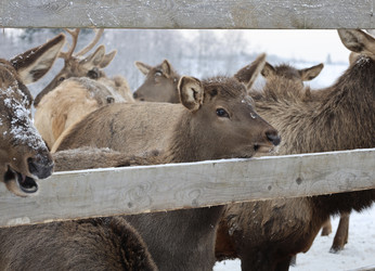 Similar image 22636092