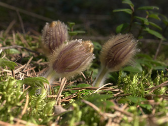 Similar image 22631918