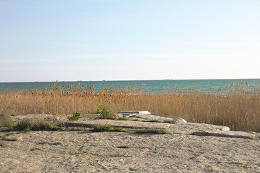 Similar image 22631902