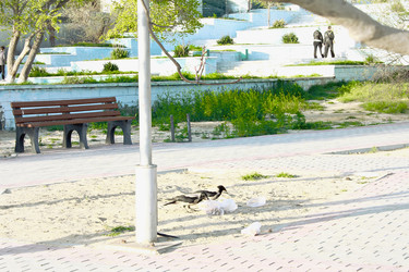 Similar image 22631903