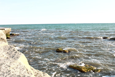 Similar image 22631904