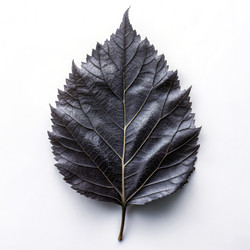 Similar image 22645164