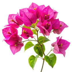Similar image 22644161