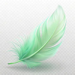 Similar image 22645093