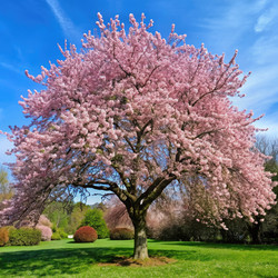 Similar image 22643671