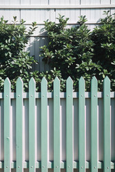 Similar image 22644812