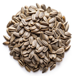 Similar image 22637454