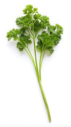 Similar image 22637543