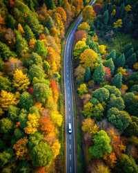 Similar image 22637767