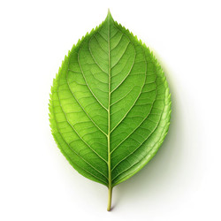 Similar image 22637815