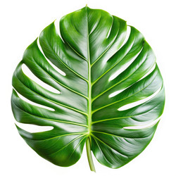 Similar image 22638654