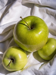 Similar image 22639665