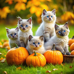 Similar image 22639957