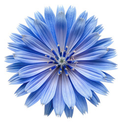 Similar image 22639958