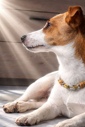 Similar image 22634255