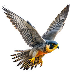 Similar image 22638822