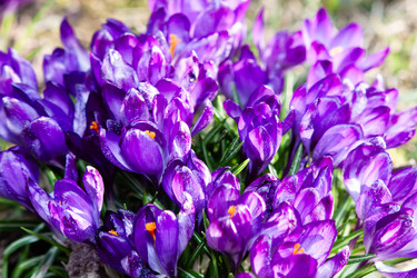 Similar image 22636377