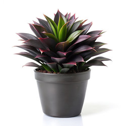 Similar image 22637436