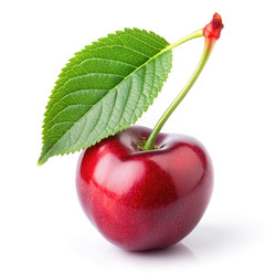 Similar image 22637505