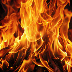 Similar image 22638855