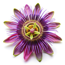 Similar image 22639799