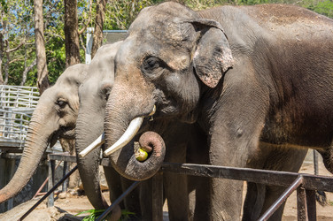 Similar image 22633035