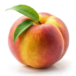 Similar image 22637374